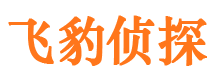 玉田侦探